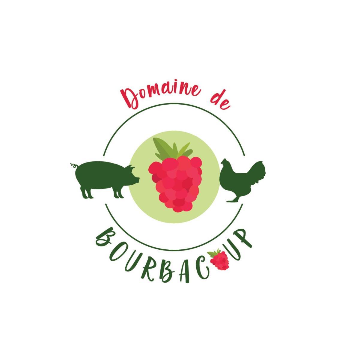 Domaine De Bourbacoup Leilighet Tulle Eksteriør bilde